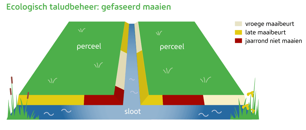 Ecologisch taluudbeheer